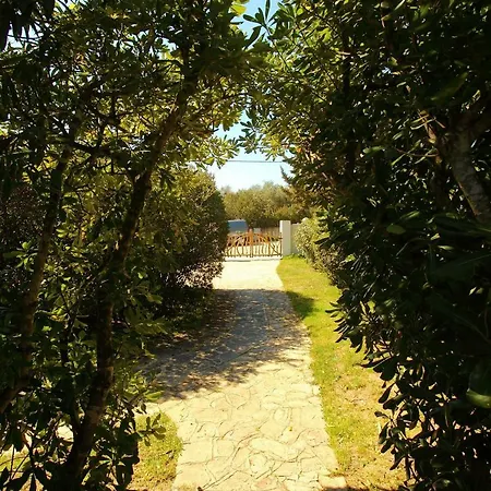 Apartment Pellicano *